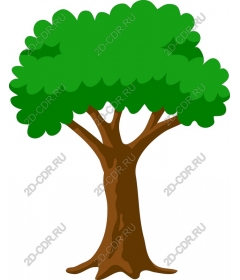 Lush green tree