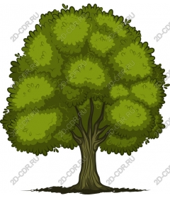 Lush green tree