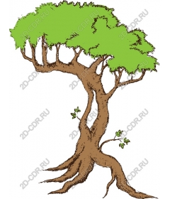  Elegant tree