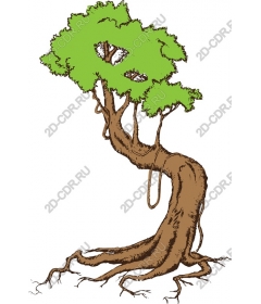  Величественное дерево