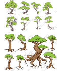 Набор деревьев бонсай - Комплект