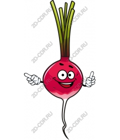  Funny cartoon radish