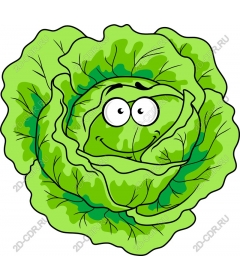 Funny cartoon salad