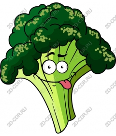  Fun broccoli