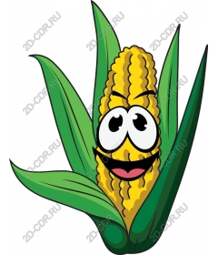  The nature of the corn