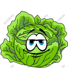  Funny cabbage