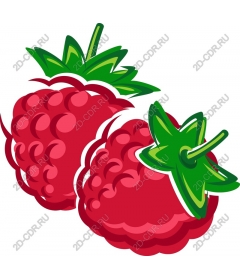 Juicy raspberry