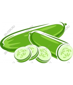Zucchini fresh