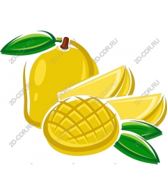  Tropical mango and pineapple