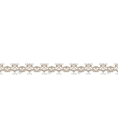  Elegant decorative border