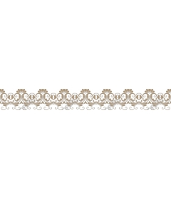  Elegant floral border