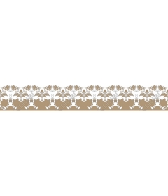  Elegant floral border