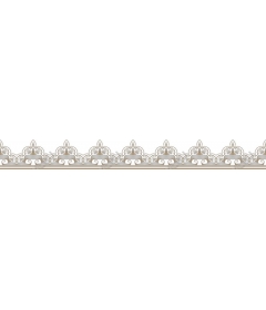 Elegant ornamental frame