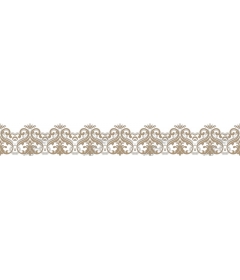 Exquisite vintage floral frame