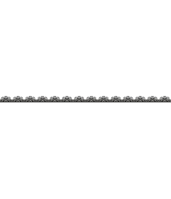  Elegant floral border