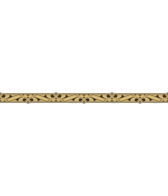Exquisite vintage border clipart