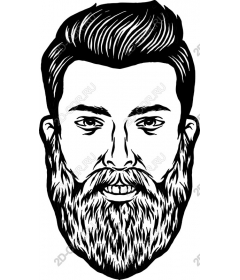 Bearded man