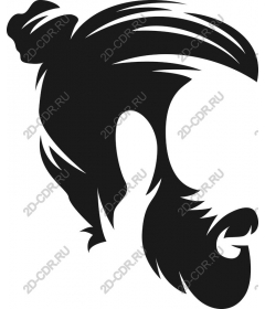  Elegant stylized fish