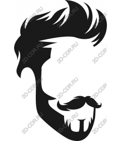  Chic men's hairstyle and beard