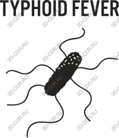 Typhoid