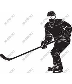 Dynamic hockey player