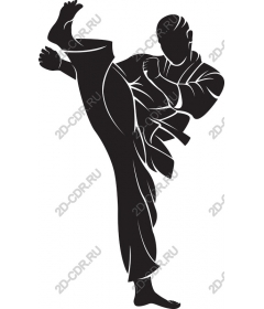 Dynamic martial arts