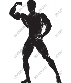  Fitness for muscles