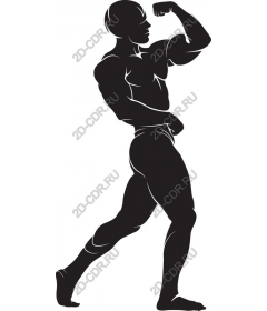  Muscle power