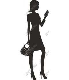  The chic fashionista