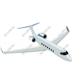  Elegant private jet