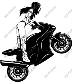  Bold Willie motorcycle