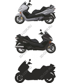  Elegant set for scooter