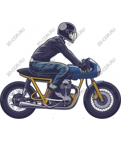 Dynamic Rider