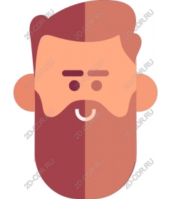 Stylish bearded face