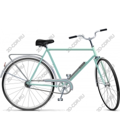 Bike in color mint