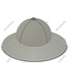  A stylish wide-brimmed hat