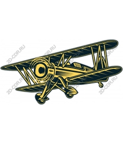 Vintage biplane