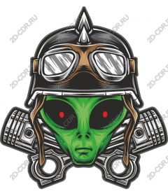 Strange alien pilot