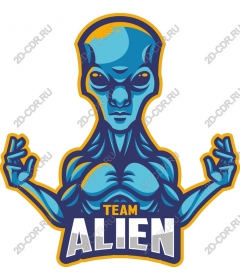 Team Strangers