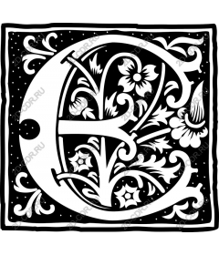  Floral monogram: letter E