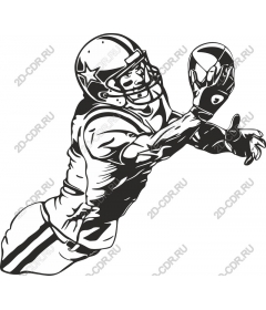  The football player catches