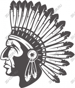 The leader of the native Americans