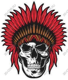  Feathered skull