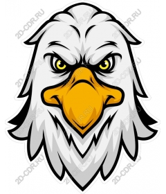 Head of a ferocious eagle