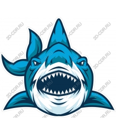  Ferocious Shark