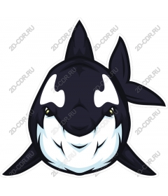  A smiling whale