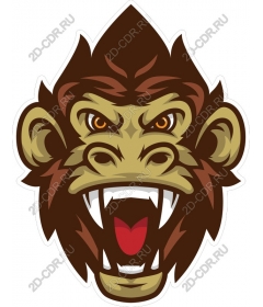 Head ferocious gorilla