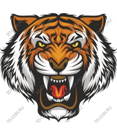 Head of a ferocious tiger