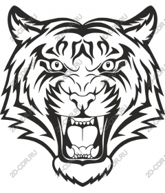 Head of a ferocious tiger