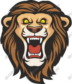  Ferocious lion head
